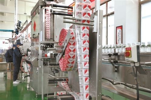 拉薩文明網技術咨詢服務指南 技術支持、常見問題與優化建議